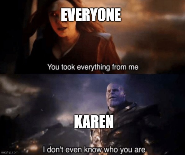 You took everything from me - I don't even know who you are | EVERYONE; KAREN | image tagged in you took everything from me - i don't even know who you are | made w/ Imgflip meme maker