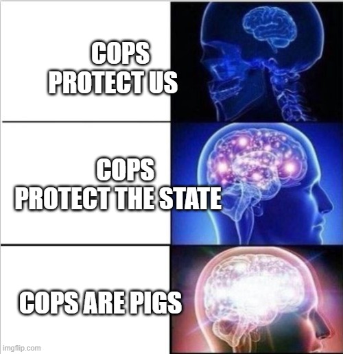 expanded woke 3 mind brain | COPS PROTECT US                            COPS PROTECT THE STATE; COPS ARE PIGS | image tagged in expanded woke 3 mind brain | made w/ Imgflip meme maker