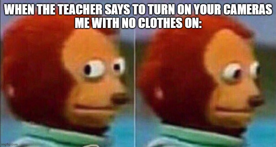 Monkey looking away | WHEN THE TEACHER SAYS TO TURN ON YOUR CAMERAS
ME WITH NO CLOTHES ON: | image tagged in monkey looking away | made w/ Imgflip meme maker