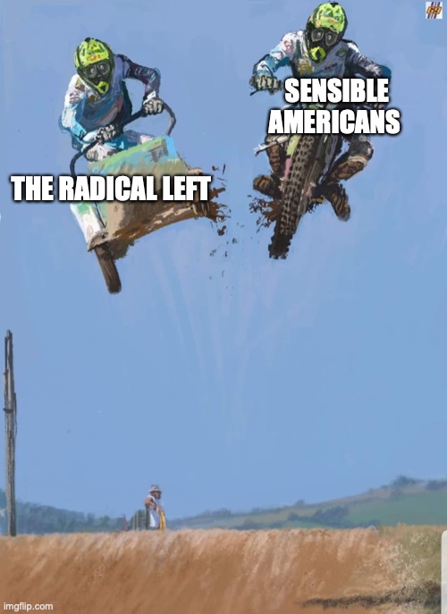 schism | SENSIBLE AMERICANS; THE RADICAL LEFT | image tagged in schism | made w/ Imgflip meme maker