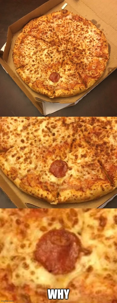 one pepperoni pizza please | WHY | image tagged in pizza,pizza time,you had one job | made w/ Imgflip meme maker