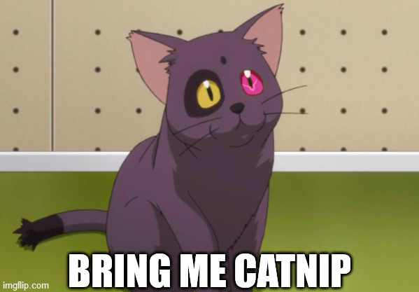 BRING ME CATNIP | image tagged in animals,cats,code geass,arthur,command,catnip | made w/ Imgflip meme maker