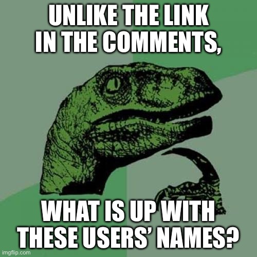 I feel like they didn’t want to input a name. | UNLIKE THE LINK IN THE COMMENTS, WHAT IS UP WITH THESE USERS’ NAMES? | image tagged in memes,philosoraptor,imgflip users | made w/ Imgflip meme maker