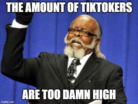 We need to unite and fight Tiktok | THE AMOUNT OF TIKTOKERS; ARE TOO DAMN HIGH | image tagged in memes,too damn high | made w/ Imgflip meme maker
