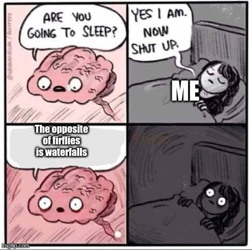 Sleeping Brain | ME; The opposite of firflies is waterfalls | image tagged in sleeping brain | made w/ Imgflip meme maker