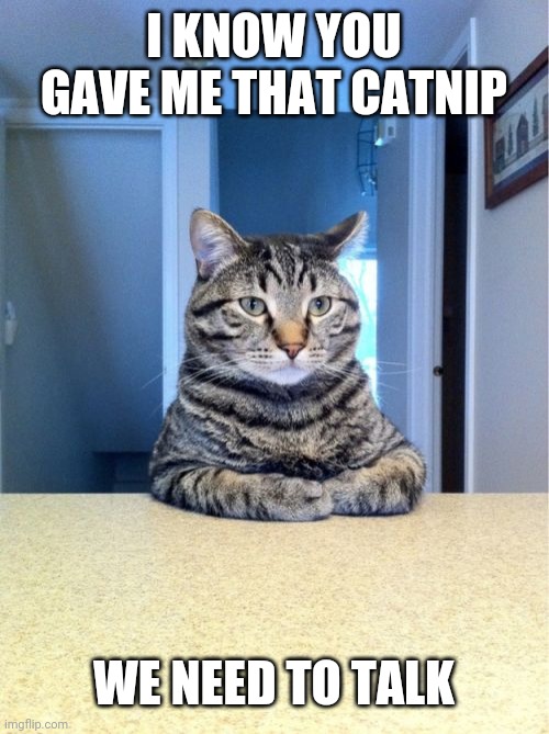 Take A Seat Cat Meme | I KNOW YOU GAVE ME THAT CATNIP; WE NEED TO TALK | image tagged in memes,take a seat cat | made w/ Imgflip meme maker