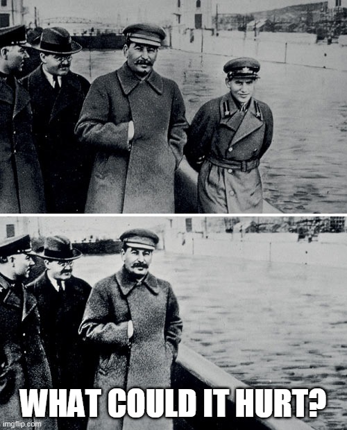 Stalin Photoshop | WHAT COULD IT HURT? | image tagged in stalin photoshop | made w/ Imgflip meme maker