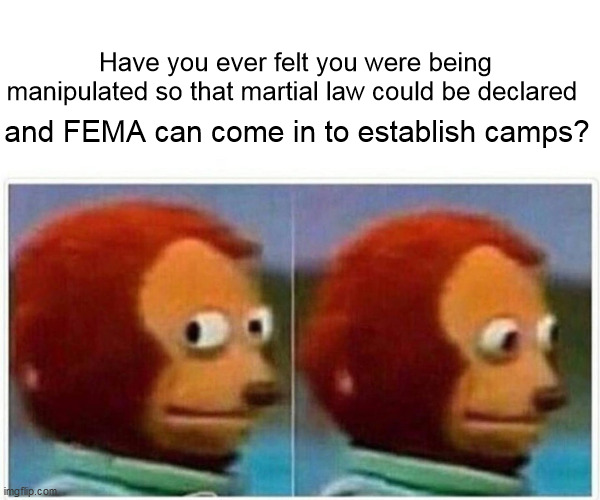 Monkey Puppet | Have you ever felt you were being manipulated so that martial law could be declared; and FEMA can come in to establish camps? | image tagged in memes,monkey puppet | made w/ Imgflip meme maker