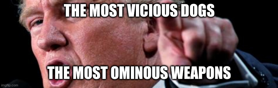 Vicious dogs | THE MOST VICIOUS DOGS; THE MOST OMINOUS WEAPONS | image tagged in vicious trump dogs | made w/ Imgflip meme maker