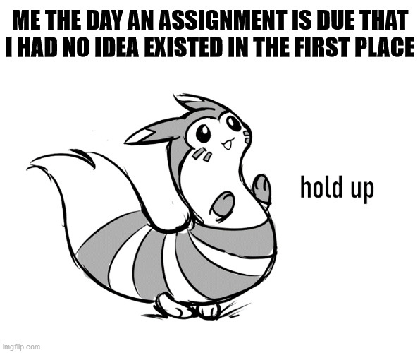 It happened once | ME THE DAY AN ASSIGNMENT IS DUE THAT I HAD NO IDEA EXISTED IN THE FIRST PLACE | image tagged in furret hold up,pokemon,memes,school | made w/ Imgflip meme maker