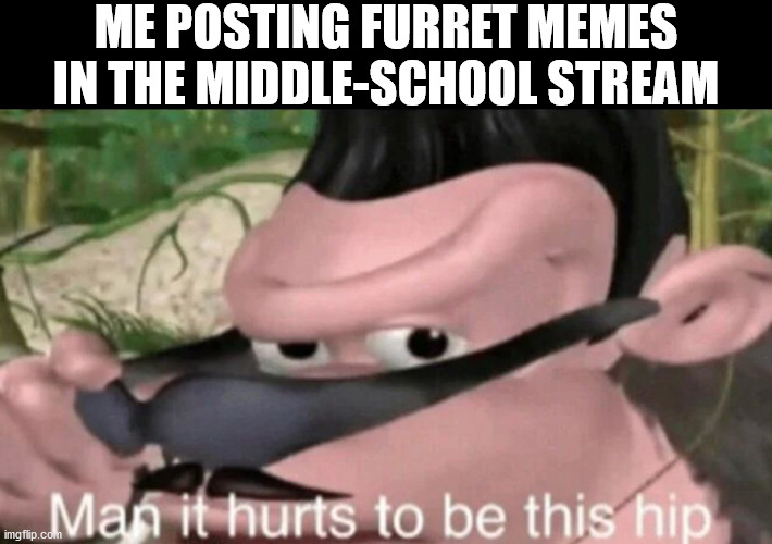 Hehe | ME POSTING FURRET MEMES IN THE MIDDLE-SCHOOL STREAM | image tagged in man it hurts to be this hip,memes | made w/ Imgflip meme maker