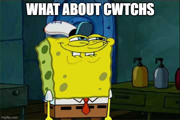 Don't You Squidward Meme | WHAT ABOUT CWTCHS | image tagged in memes,don't you squidward | made w/ Imgflip meme maker