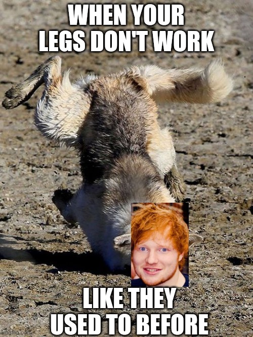Why did I make this | WHEN YOUR LEGS DON'T WORK; LIKE THEY USED TO BEFORE | image tagged in falling dog,ed sheeran | made w/ Imgflip meme maker