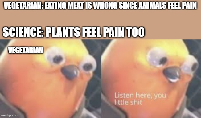Listen here you little shit bird | VEGETARIAN: EATING MEAT IS WRONG SINCE ANIMALS FEEL PAIN; SCIENCE: PLANTS FEEL PAIN TOO; VEGETARIAN | image tagged in listen here you little shit bird | made w/ Imgflip meme maker