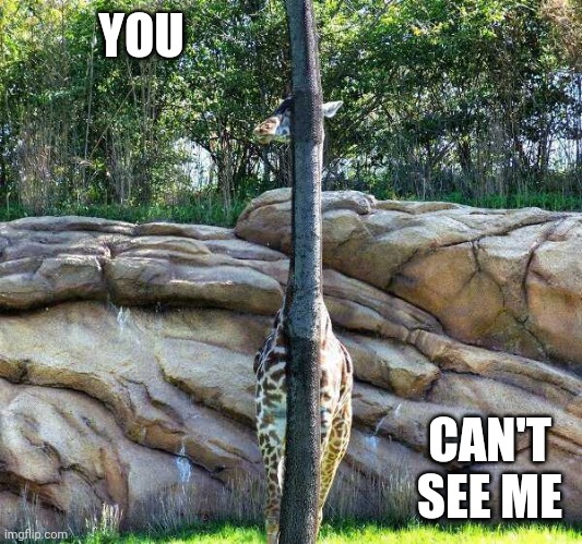 NINJA GIRAFFE | YOU; CAN'T SEE ME | image tagged in giraffe,hide and seek | made w/ Imgflip meme maker