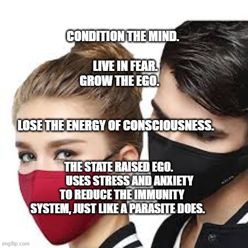 Mask Couple | CONDITION THE MIND.                                                     
    LIVE IN FEAR.        
   GROW THE EGO.                                                         
                     LOSE THE ENERGY OF CONSCIOUSNESS. THE STATE RAISED EGO.           USES STRESS AND ANXIETY TO REDUCE THE IMMUNITY SYSTEM, JUST LIKE A PARASITE DOES. | image tagged in mask couple | made w/ Imgflip meme maker