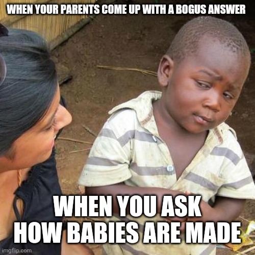 Third World Skeptical Kid Meme | WHEN YOUR PARENTS COME UP WITH A BOGUS ANSWER; WHEN YOU ASK HOW BABIES ARE MADE | image tagged in memes,third world skeptical kid | made w/ Imgflip meme maker