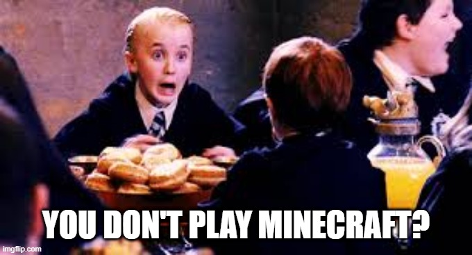 Malfoy Screaming | YOU DON'T PLAY MINECRAFT? | image tagged in malfoy screaming | made w/ Imgflip meme maker