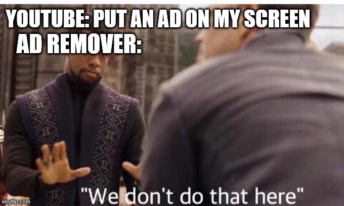 Stop interrupting my videos | YOUTUBE: PUT AN AD ON MY SCREEN; AD REMOVER: | image tagged in we dont do that here | made w/ Imgflip meme maker