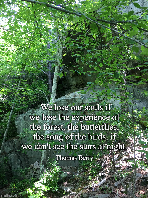 Hikers' Prayer | We lose our souls if we lose the experience of the forest, the butterflies, the song of the birds, if we can't see the stars at night. Thomas Berry | image tagged in hiking | made w/ Imgflip meme maker