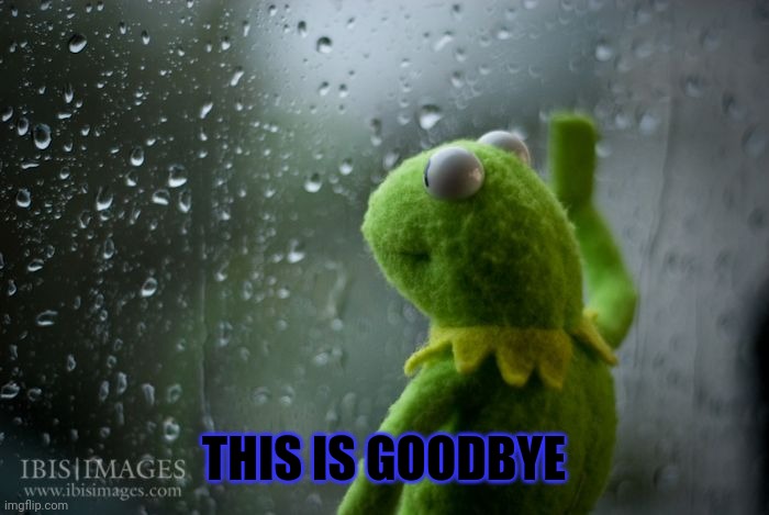 kermit window | THIS IS GOODBYE | image tagged in kermit window | made w/ Imgflip meme maker