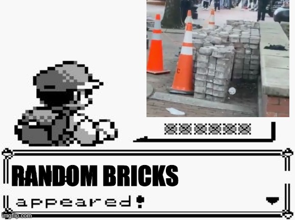 All Over The Cities Of America | RANDOM BRICKS | image tagged in pokemon appears,political meme,looters,riots,america,antifa | made w/ Imgflip meme maker