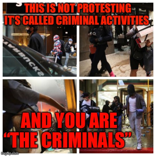 Looters | THIS IS NOT PROTESTING IT’S CALLED CRIMINAL ACTIVITIES; AND YOU ARE      “THE CRIMINALS” | image tagged in looters | made w/ Imgflip meme maker