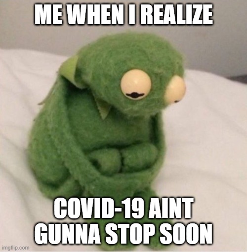 Kermit Lonely | ME WHEN I REALIZE; COVID-19 AINT GUNNA STOP SOON | image tagged in sad kermit | made w/ Imgflip meme maker