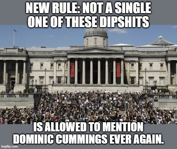 NEW RULE: NOT A SINGLE ONE OF THESE DIPSHITS; IS ALLOWED TO MENTION DOMINIC CUMMINGS EVER AGAIN. | image tagged in black lives matter,covid-19,covidiots,protesters | made w/ Imgflip meme maker