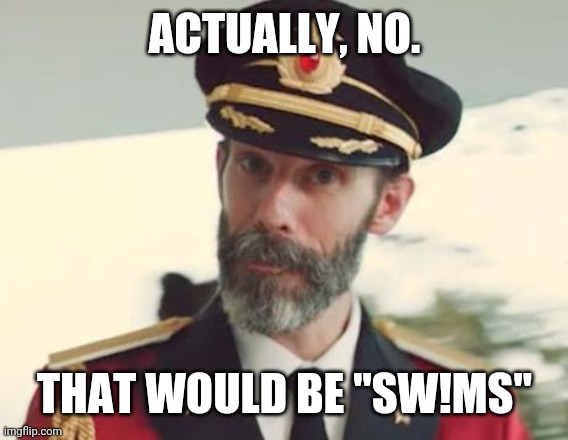 Captain Obvious | ACTUALLY, NO. THAT WOULD BE "SW!MS" | image tagged in captain obvious | made w/ Imgflip meme maker