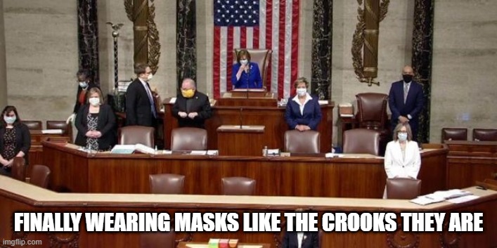 U.S Crooks | FINALLY WEARING MASKS LIKE THE CROOKS THEY ARE | image tagged in government corruption,evil government | made w/ Imgflip meme maker