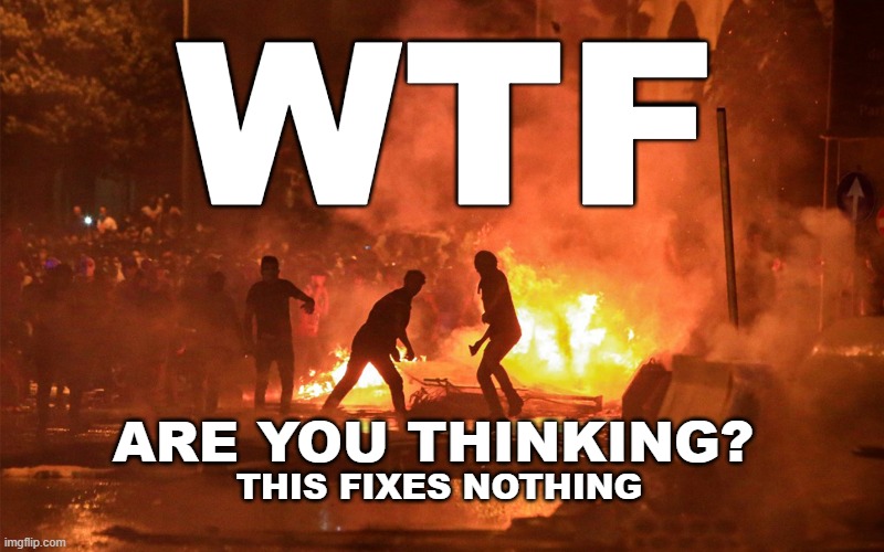 What Is Wrong With This World? | WTF; ARE YOU THINKING? THIS FIXES NOTHING | image tagged in wtf,world has gone crazy,riots,rioting | made w/ Imgflip meme maker