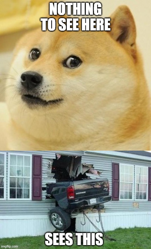 NOTHING TO SEE HERE; SEES THIS | image tagged in memes,doge,funny car crash | made w/ Imgflip meme maker