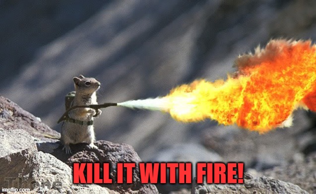 Flame War Squirrel | KILL IT WITH FIRE! | image tagged in flame war squirrel | made w/ Imgflip meme maker