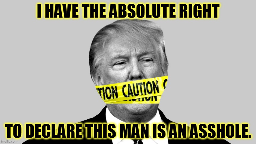 This jerk has got to go. Instead of addressing the Nation, Trump spent Sunday hiding in the White House basement. | I HAVE THE ABSOLUTE RIGHT; TO DECLARE THIS MAN IS AN ASSHOLE. | image tagged in trump mouth police yellow caution tape,trump,mouth,police,yellow,caution | made w/ Imgflip meme maker