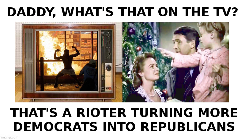 What's That Daddy? | image tagged in thugs,looters,rioters,liberals,democrats,republicans | made w/ Imgflip meme maker