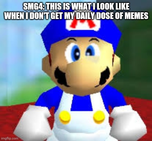 Memes | SMG4: THIS IS WHAT I LOOK LIKE WHEN I DON'T GET MY DAILY DOSE OF MEMES | image tagged in smg4,mario,super mario 64,memes | made w/ Imgflip meme maker