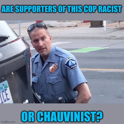 Too soon? | ARE SUPPORTERS OF THIS COP RACIST; OR CHAUVINIST? | image tagged in derek chauvin | made w/ Imgflip meme maker