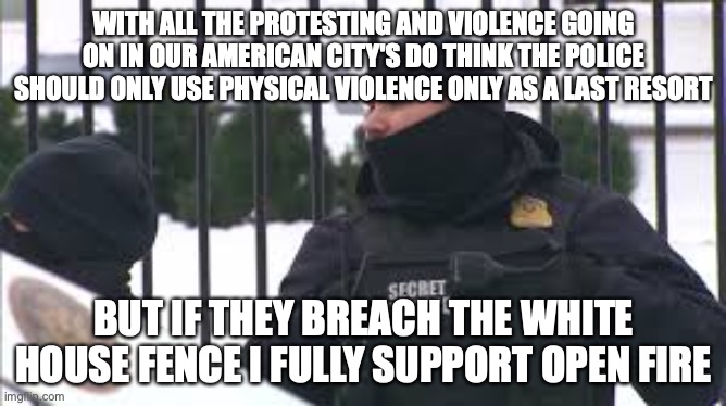 The Only Approved Excess Violence | WITH ALL THE PROTESTING AND VIOLENCE GOING ON IN OUR AMERICAN CITY'S DO THINK THE POLICE SHOULD ONLY USE PHYSICAL VIOLENCE ONLY AS A LAST RESORT; BUT IF THEY BREACH THE WHITE HOUSE FENCE I FULLY SUPPORT OPEN FIRE | image tagged in riots,white house,secret service,protesters | made w/ Imgflip meme maker