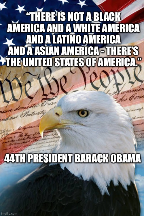 Presidential quotes | “THERE IS NOT A BLACK AMERICA AND A WHITE AMERICA AND A LATINO AMERICA AND A ASIAN AMERICA - THERE’S THE UNITED STATES OF AMERICA.”; 44TH PRESIDENT BARACK OBAMA | image tagged in american flag | made w/ Imgflip meme maker