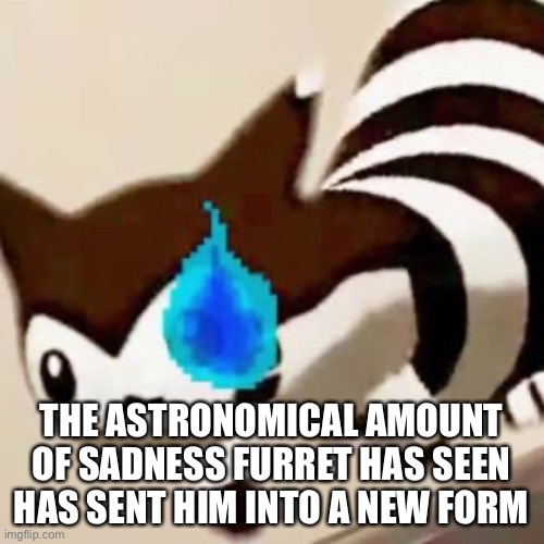 THE ASTRONOMICAL AMOUNT OF SADNESS FURRET HAS SEEN HAS SENT HIM INTO A NEW FORM | made w/ Imgflip meme maker