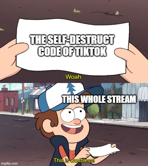 this is the meme. (or something) | THE SELF-DESTRUCT CODE OF TIKTOK; THIS WHOLE STREAM | image tagged in this is worthless | made w/ Imgflip meme maker