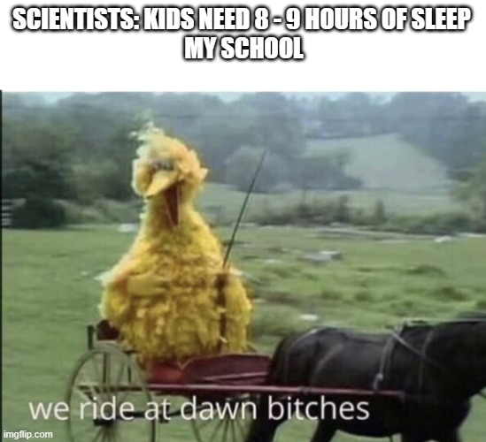 my school | SCIENTISTS: KIDS NEED 8 - 9 HOURS OF SLEEP 



MY SCHOOL | image tagged in we ride at dawn bitches | made w/ Imgflip meme maker