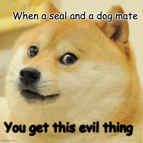 Doge Meme | When a seal and a dog mate; You get this evil thing | image tagged in memes,doge | made w/ Imgflip meme maker