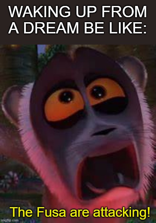 I do this too often | WAKING UP FROM A DREAM BE LIKE:; The Fusa are attacking! | image tagged in dreams,madagascar,sleeping,panic | made w/ Imgflip meme maker