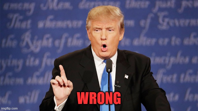 Donald Trump Wrong | WRONG | image tagged in donald trump wrong | made w/ Imgflip meme maker