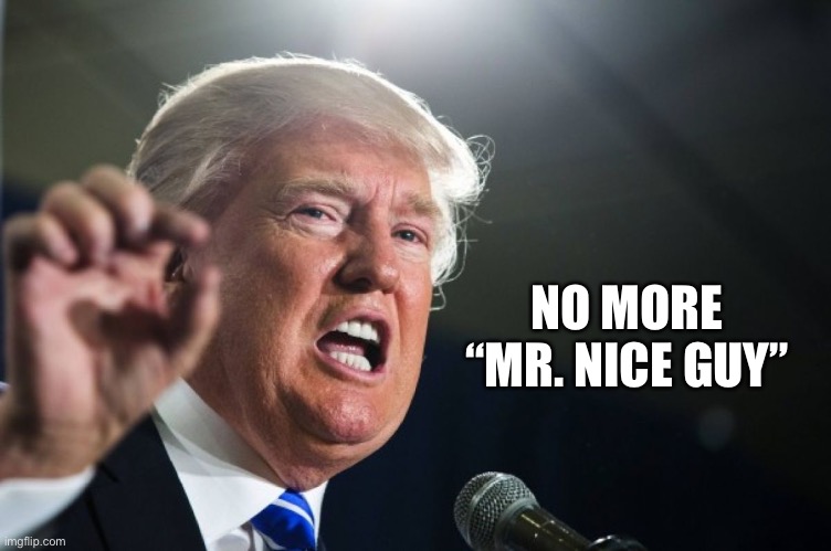 donald trump | NO MORE “MR. NICE GUY” | image tagged in donald trump | made w/ Imgflip meme maker