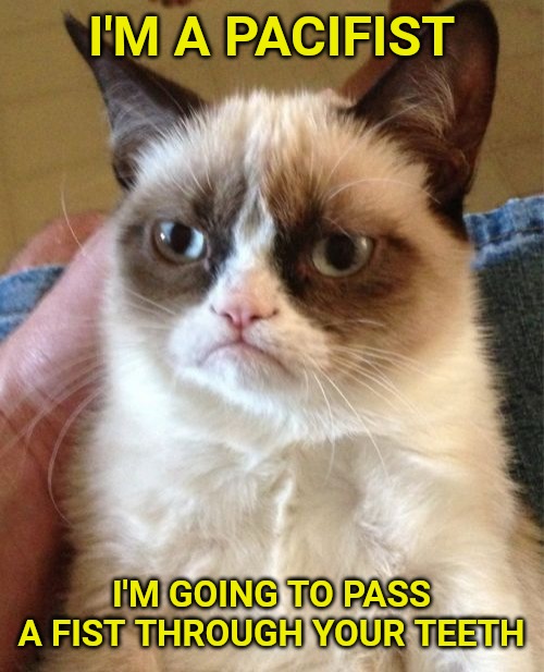 Grumpy Cat | I'M A PACIFIST; I'M GOING TO PASS A FIST THROUGH YOUR TEETH | image tagged in memes,grumpy cat | made w/ Imgflip meme maker