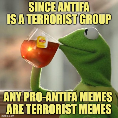 Hey, Mods: food for thought | SINCE ANTIFA IS A TERRORIST GROUP; ANY PRO-ANTIFA MEMES 
ARE TERRORIST MEMES | image tagged in memes,but that's none of my business,kermit the frog | made w/ Imgflip meme maker