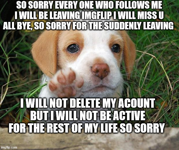 bye i will miss u all | SO SORRY EVERY ONE WHO FOLLOWS ME I WILL BE LEAVING IMGFLIP I WILL MISS U ALL BYE, SO SORRY FOR THE SUDDENLY LEAVING; I WILL NOT DELETE MY ACOUNT BUT I WILL NOT BE ACTIVE FOR THE REST OF MY LIFE SO SORRY | image tagged in dog puppy bye,bye | made w/ Imgflip meme maker